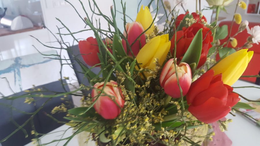 Danes je materinski dan. Vse najboljše, drage mame!