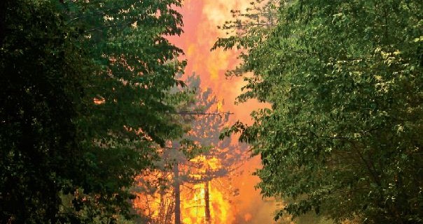 Previdno pri kurjenju v naravi