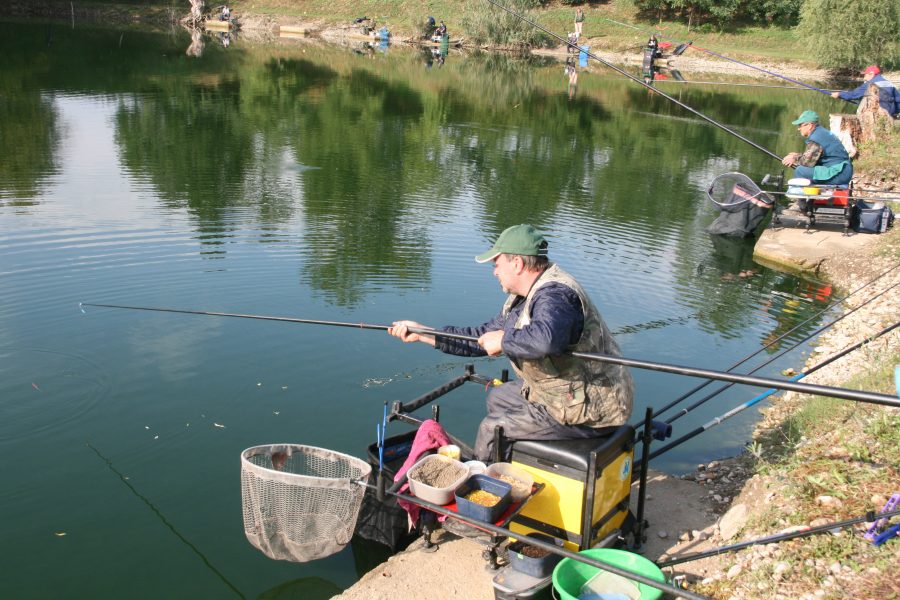 500 kilogramov mrtvih rib v ribniku v Dražencih