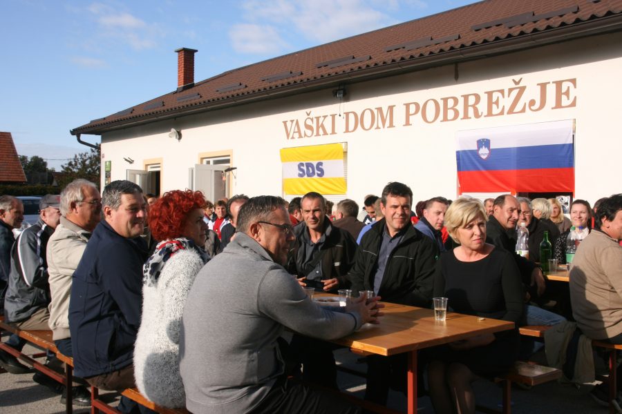 SDS videm_piknik (22)