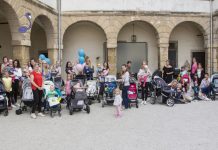 Na Ptuju bo 2. Vozičankanje