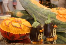 Buče in bučke iz vasi Sela