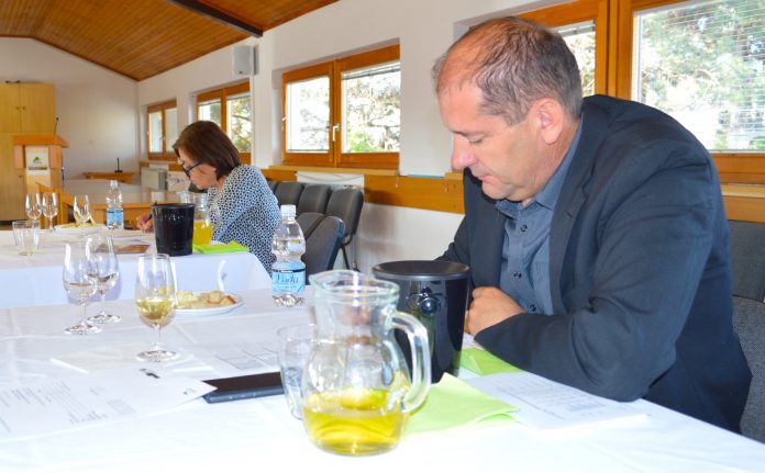 58809815_2268058810116046_260771821299695616_o