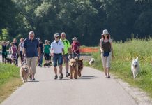 To nedeljo četrti dobrodelni sprehod s psi ob Dravi