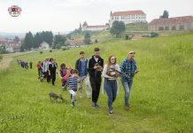 Četrtič sprehod s psi ob Dravi za dober namen