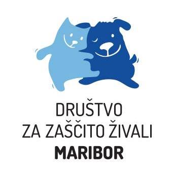 66676070_3082966885076642_7550255281746214912_n