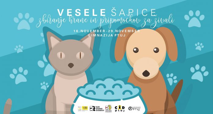 75481661_2746855495359239_4443702876748906496_o