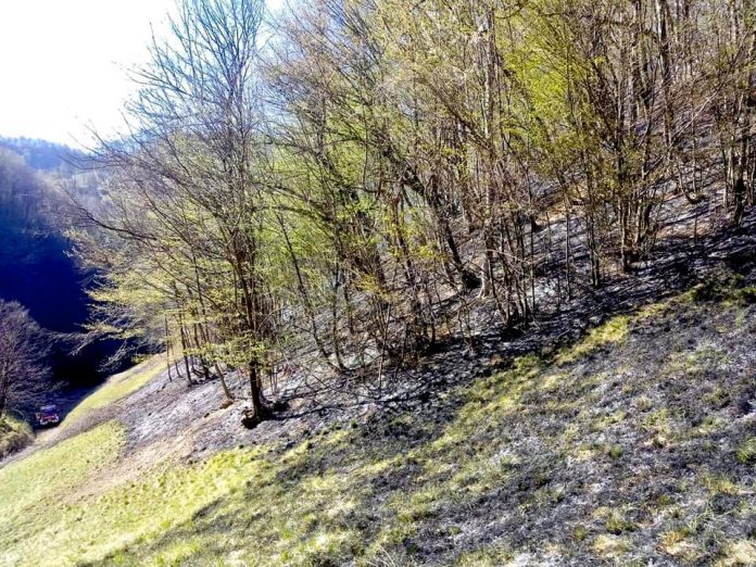 92357450_874634736297538_7538798615397924864_n