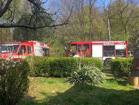 Požar v Podgorcih. Foto: Facebook Požar v Podgorcih