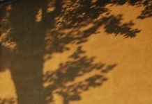 S kolesom v drevo – Majšperk