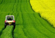 Vodnik za prejemnike pomoči v zvezi s COVID-19 Vodnik za upravičence