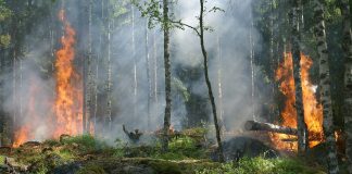 Požar na Ptuju. Slika je simbolična