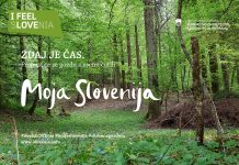 Lepo vreme kliče v gozd – upoštevajmo gozdni bonton in z gozdom ravnajmo skrbno!