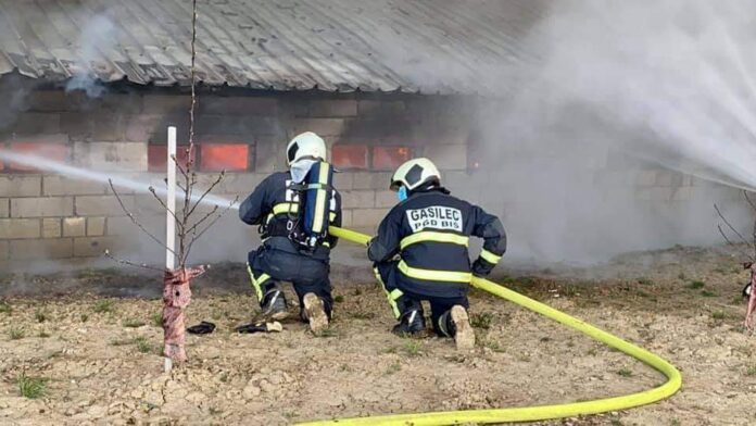 FB_IMG_1617559325509