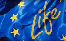 Financiranje zelenih projektov – Zelena ekonomija Damir Žerak