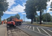 Dela na Osojnikovi na Ptuju