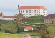 Kandidat za župana Franjo Rozman bo podprl kulturni projekt Arsana
