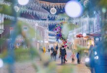 Na Ptuju bodo lučke