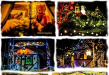 Dogodki v pravljičnem gozdu “RDEČA KAPICA” MOHORKOVA GRABA