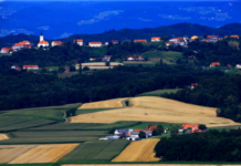 Digitalizacija glasil občin Spodnjega Podravja