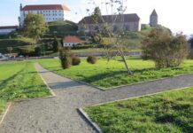 Nova arheološka odkritja na Panorami in prenovljena ureditve Panorame v okviru arheološkega parka Poetovio
