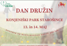 Dan družin