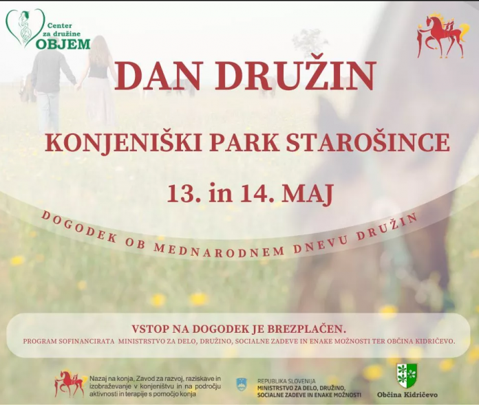 Dan družin