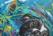 2. Ptujski pasji fest