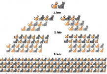 Akcije sterilizacij in kastracij domačih živali