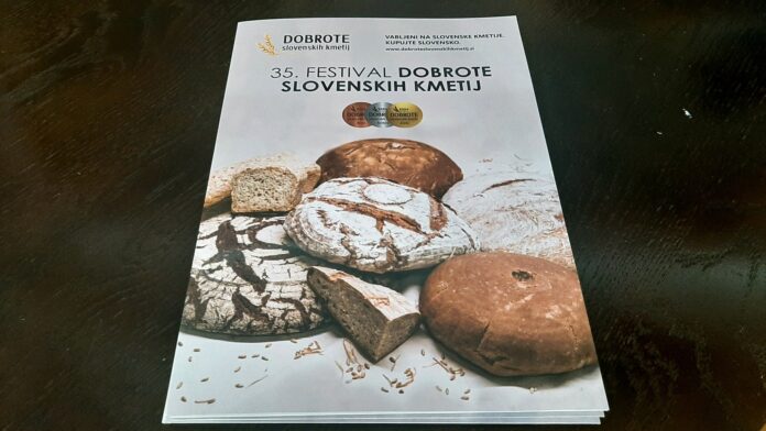 424608093_1036088124533412_1100456950783994606_n