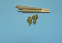 Škodljivost rekreativne uporabe marihuane: Argumenti proti legalizaciji