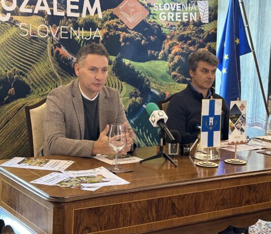 Martinovanje v Ormožu: praznovanje tradicije, vina in skupnosti