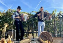 Popoldne slovenske glasbe v Doleni privabilo ljubitelje slovenske kulture