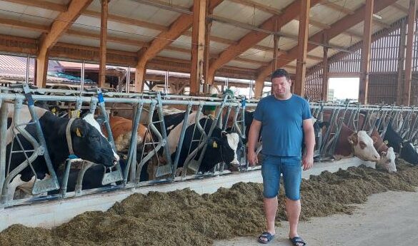 DOMINIK-e1728028301910-585x345