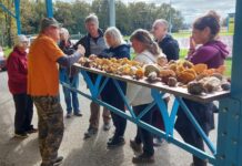 Dogajanje ob svetovnem dnevu turizma na Ravnem polju navdušilo množice