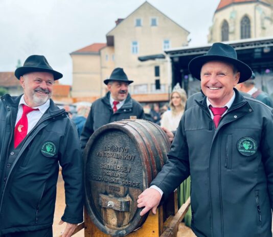 Martinovanje 2024 na Ptuju: praznovanje vina v najstarejšem slovenskem mestu