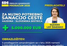 Denar za Moldavijo, ne pa za cesto Hajdina–Slovenska Bistrica?