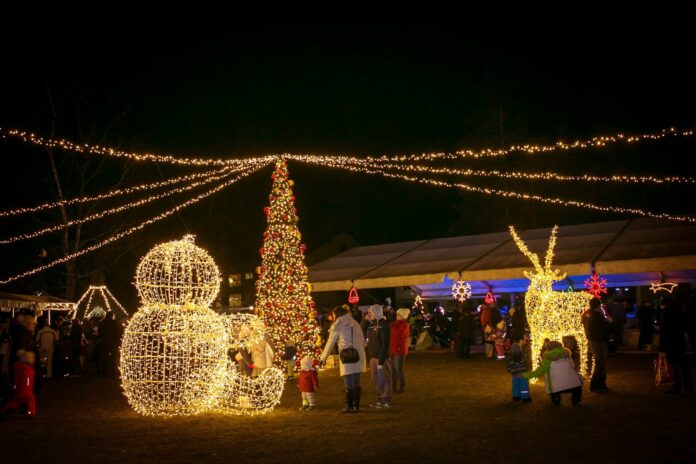 Kidricevo_Park pod tisočerimi zvezdami4