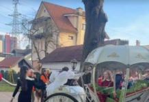 Tina Gaber otroke s posebnimi potrebami obsodila na gledanje skozi okno?