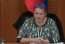 Kam pelje slovenska demokracija? Jemanje besede in utišanje resnice v parlamentu