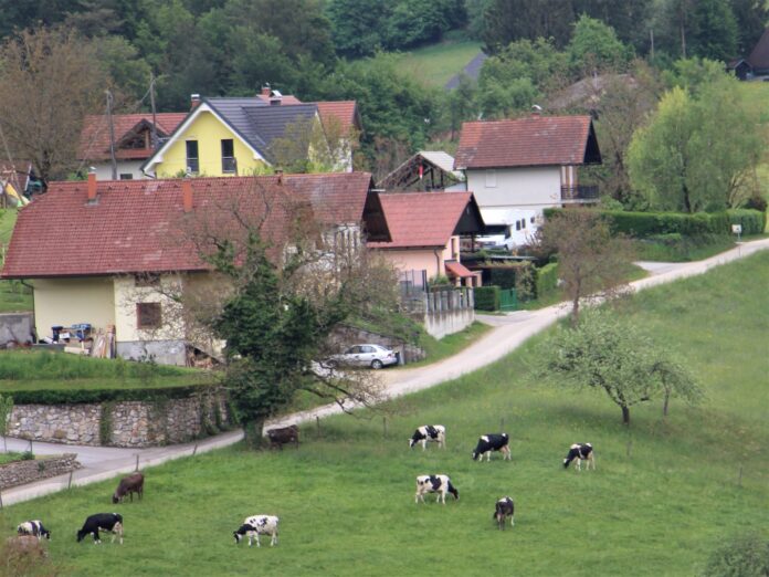 475091639_930471462529929_8609755067979110367_n