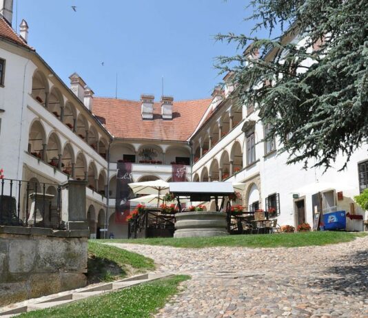 Ptuj s 120.000 evri podpore v poletne festivale – a razvojni potencial ostaja pod izkoriščenim pragom