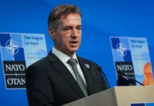 Vlada Roberta Goloba je zavila na nevarno stranpot – Slovenija izgublja smer v času negotovosti