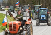 Golobova vlada z novima zakonoma še poglablja krizo slovenskega kmetijstva