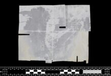 Zadrogirana resničnost Maribora: primer, ki razgalja širšo neučinkovitost Golobove vlade