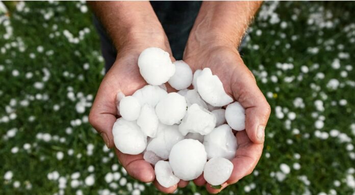 Screenshot 2025-10-05 231546