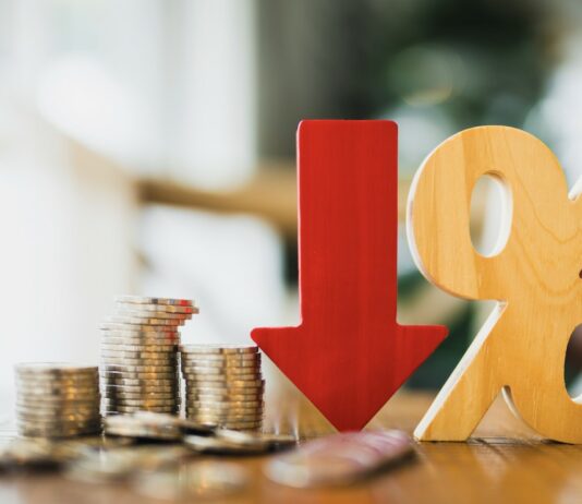 SDS: Golobova koalicija blokira višje neto plače – edini smo na strani delavcev