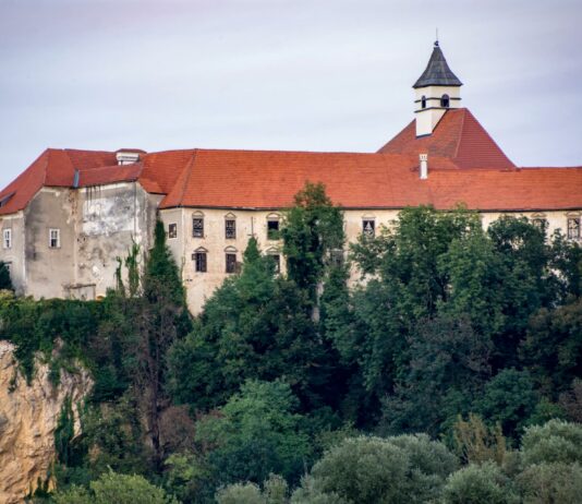 Projekt na gradu Borl razdeljen v dve fazi, a brez zagotovil za dokončanje