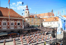 Mednarodna karnevalska povorka