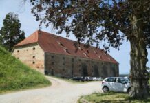 Obnova grajske žitnice kot osrednji projekt muzeja